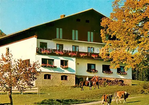 AK / Ansichtskarte Annaberg_Niederoesterreich Stadlerhof Pension Annaberg