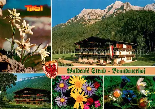 AK / Ansichtskarte Waidring_Tirol Waldcafe Strub Brandtnerhof Alpenflora Waidring Tirol