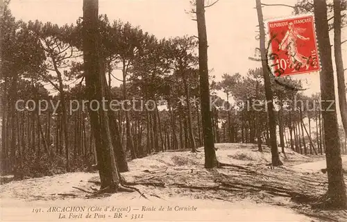 AK / Ansichtskarte Arcachon_33 La Foret de Pins 