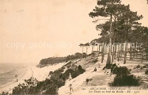 AK / Ansichtskarte Arcachon_33 Cote dArgent La Foret de Pins Les Dunes au bord du Bassin 
