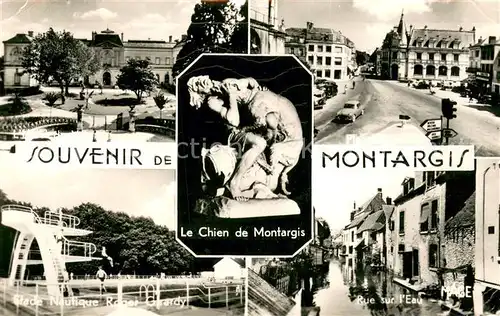 AK / Ansichtskarte Montargis_Loiret Hotel de Ville Stade Nautique Roger Girardy Rue sur lEau Le Chien de Montargis Montargis Loiret
