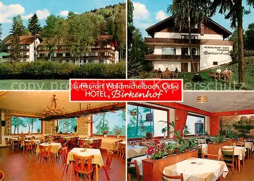 AK / Ansichtskarte Wald Michelbach Hotel Birkenhof Wald Michelbach