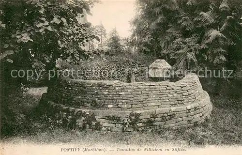 AK / Ansichtskarte Pontivy Tumulus de Nilliziem en Silfiac Pontivy