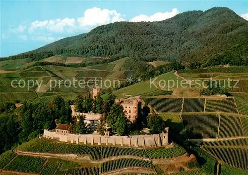 AK / Ansichtskarte Ortenberg_Baden Fliegeraufnahme Dorf des Weines Schloss Ortenberg_Baden
