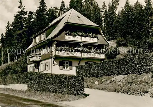 AK / Ansichtskarte Schluchsee Pension Berger Schluchsee