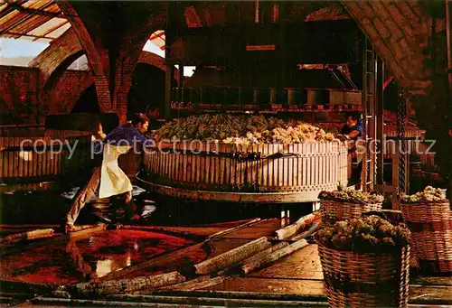 AK / Ansichtskarte Cavas_Codorniu Prensado de la uva Cavas Codorniu