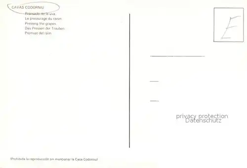 AK / Ansichtskarte Cavas_Codorniu Prensado de la uva Cavas Codorniu