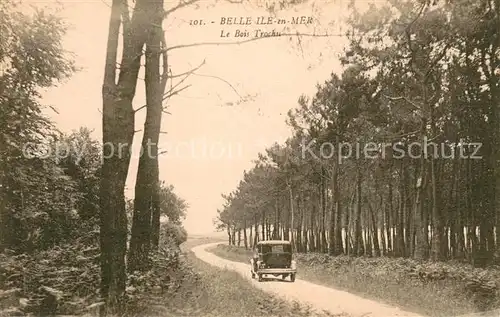 AK / Ansichtskarte Belle Ile en Mer Le Bois Trochu Belle Ile en Mer