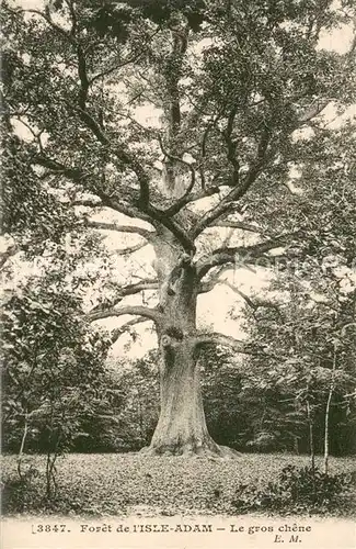 AK / Ansichtskarte Isle_Adam Foret  