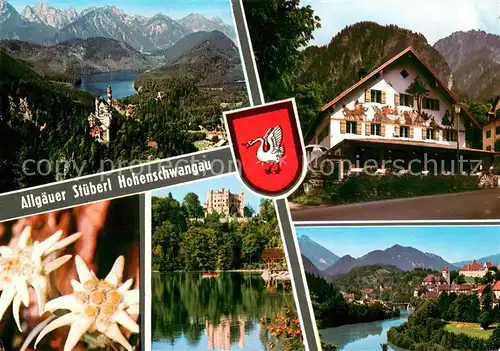 AK / Ansichtskarte Hohenschwangau Allgaeuer Stueberl Gaststaette Panorama Schloss Neuschwanstein Alpen Hohenschwangau