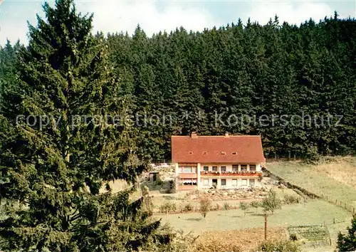 AK / Ansichtskarte Fohlenplacken Waldcafe Pension Ruebezahl Fohlenplacken