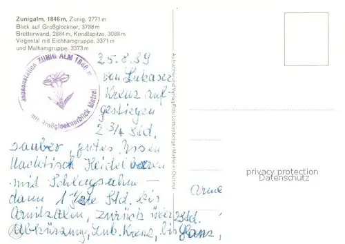AK / Ansichtskarte Matrei_Osttirol Zunigalm mit Zunig Almvieh Blick auf Grossglockner Hohe Tauern Edelweiss Matrei_Osttirol