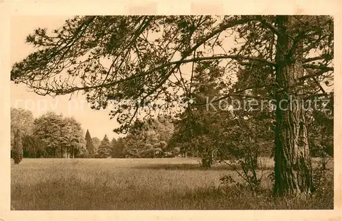 AK / Ansichtskarte Jouy sur Morin Cite Notre Dame Jouy sur Morin