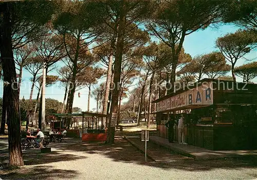 AK / Ansichtskarte Lavinio_Roma Camping Internazionale Lido del Pini Ristorante Bar 