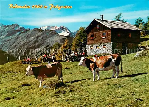 AK / Ansichtskarte Praegraten_Grossvenediger Bodenalm Praegraten Grossvenediger