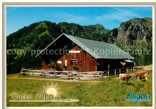 AK / Ansichtskarte Unterjoch Buchel Alpe Unterjoch