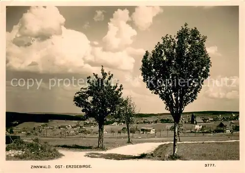 AK / Ansichtskarte Zinnwald Georgenfeld Panorama Zinnwald Georgenfeld