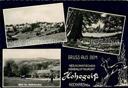 AK / Ansichtskarte Hohegeiss_Harz Panorama Waldhotel Dicke Tanne Blick ins Wolfsbachtal Hohegeiss Harz