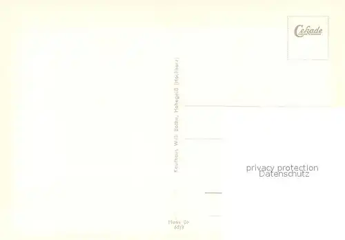 AK / Ansichtskarte Hohegeiss_Harz Panorama Waldhotel Dicke Tanne Blick ins Wolfsbachtal Hohegeiss Harz