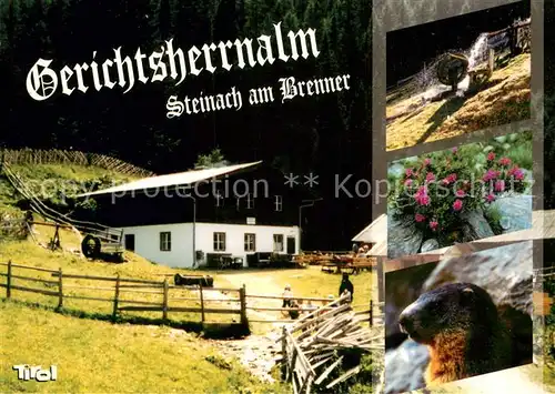 AK / Ansichtskarte Gries_Brenner Gerichtsherrnalm Brunnen Blumen Murmeltier Gries Brenner