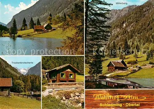 AK / Ansichtskarte Schladming_Obersteiermark Ausflugsziel und Jausenstation Wehrhof Alm Obertal Bergsee Trockenbrotscharte Alpen Schladming_Obersteiermark