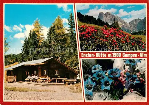 AK / Ansichtskarte Afers_Brixen Enzian Huette Gampenalm Alpenflora Blauer Enzian Dolomiten Afers Brixen