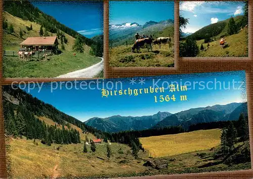 AK / Ansichtskarte Huettschlag Hirschgrubenalm Almvieh Landschaftspanorama Alpen Huettschlag