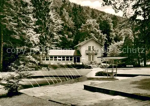 AK / Ansichtskarte Bad_Wildungen Cafe Helenental Bad_Wildungen