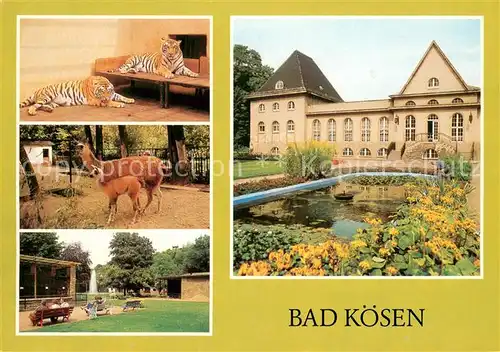 AK / Ansichtskarte Bad_Koesen Tierpark Tieger Lama mit Jungem Tiergehege Volkssolbad Badehaus Bad_Koesen