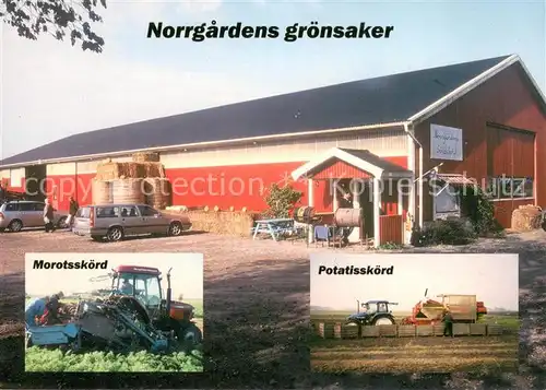 AK / Ansichtskarte Ventlinge_Schweden Norrgardens groensaker Morotsskoerd Potatisskoerd 