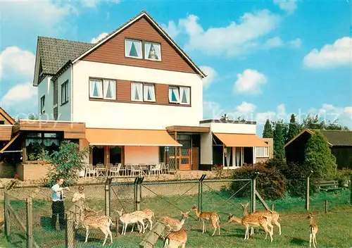 AK / Ansichtskarte Zeddam Hotel Eureka Rotwildgehege Zeddam
