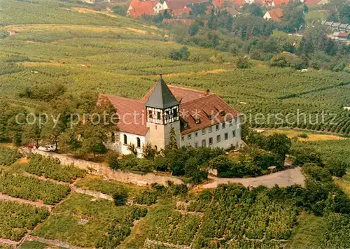 AK / Ansichtskarte Cleebronn Jugendhaus Michelsberg Fliegeraufnahme Cleebronn