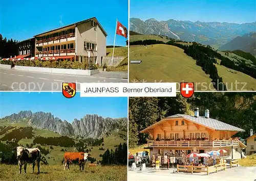 AK / Ansichtskarte Jaunpass Berner Oberland Hotel des Alpes Jaunpass