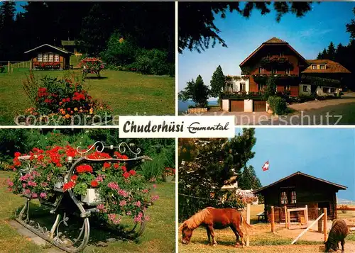 AK / Ansichtskarte Roethenbach_Emmental Kurhaus Chuderhuesi Park Blumenkutsche Ponys Roethenbach Emmental