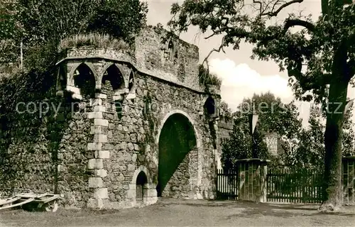 AK / Ansichtskarte Zons_Rhein Schlossruine 