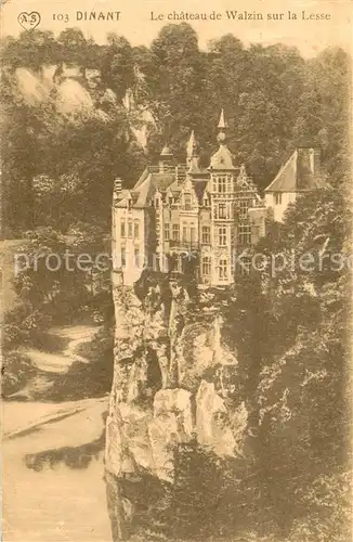 AK / Ansichtskarte Dinant_Wallonie Le chateau de Walzin sur la Lesse Dinant Wallonie