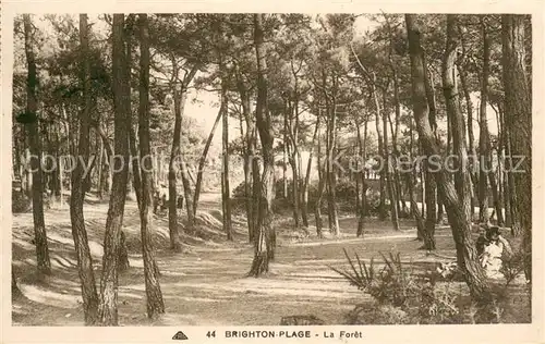 AK / Ansichtskarte Brighton Plage_80 La foret 