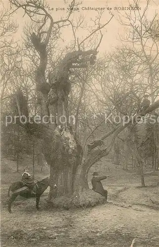 AK / Ansichtskarte Chataigneraie_La alter Baum Chataigneraie_La