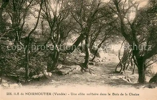 AK / Ansichtskarte Ile_de_Noirmoutier Bois de la Chaize Ile_de_Noirmoutier