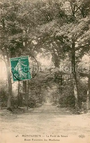 AK / Ansichtskarte Montgeron Foret de Senart Montgeron
