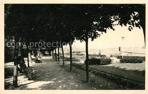 AK / Ansichtskarte Wesseling Rheinpromenade Wesseling