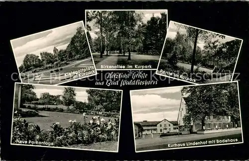 AK / Ansichtskarte Bad_Waldliesborn Kleingolfplatz im Kurpark Birkenallee Kurhaus Lindenhof Badehaus Bad_Waldliesborn