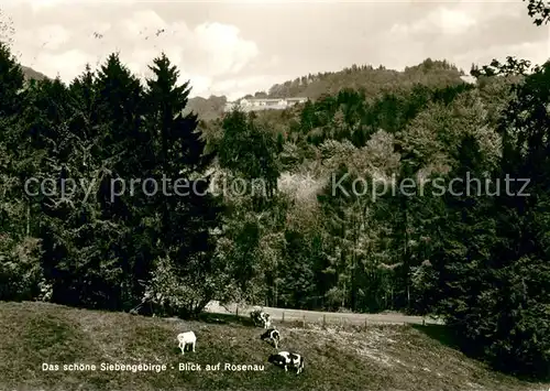 AK / Ansichtskarte Koenigswinter Blick auf Rosenau Siebengebirge Koenigswinter
