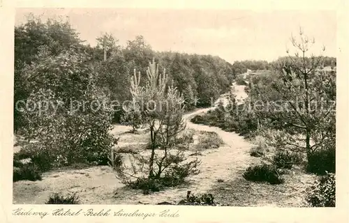 AK / Ansichtskarte Lueneburger_Heide Heideweg Huetzel Breloh Lueneburger Heide