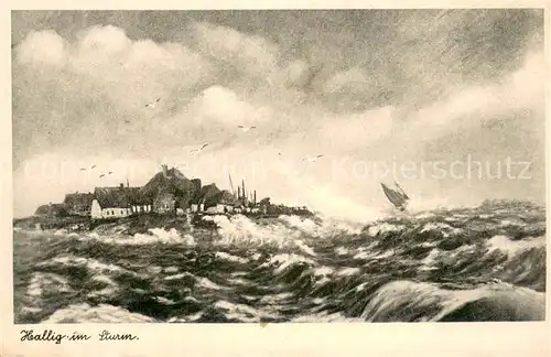 AK / Ansichtskarte Hallig_Hooge Hallig im Sturm Hallig Hooge