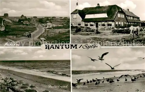 AK / Ansichtskarte Rantum_Sylt Gasthaus Pension Boysen Badestrand Moewen Rantum Sylt