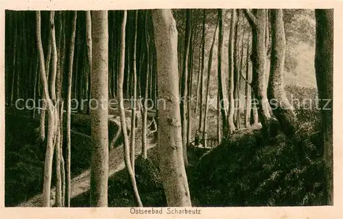 AK / Ansichtskarte Scharbeutz_Ostseebad Waldpartie Scharbeutz_Ostseebad
