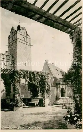 AK / Ansichtskarte Bernburg_Saale Partie am Schloss Bernburg_Saale