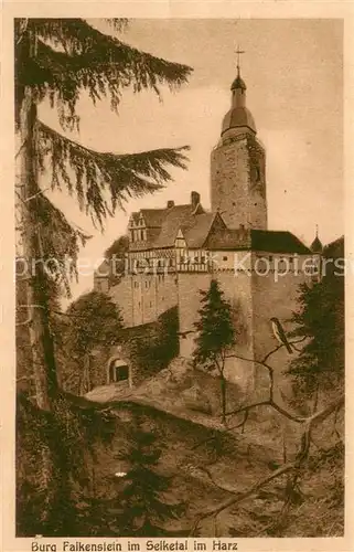 AK / Ansichtskarte Falkenstein_Harz Burg Falkenstein im Selketal Kuenstlerkarte Falkenstein_Harz
