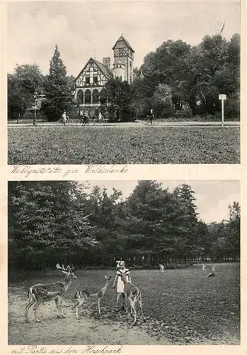 AK / Ansichtskarte Lindenthal_Koeln Waldgaststaette zur Waldschenke Partie aus dem Hirschpark Lindenthal Koeln